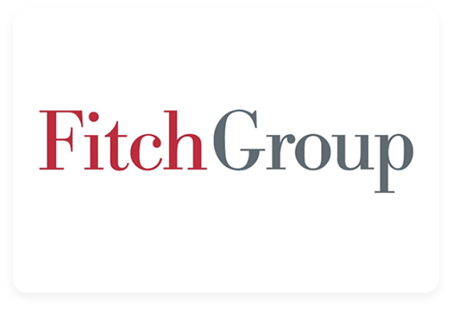 fitchgroup