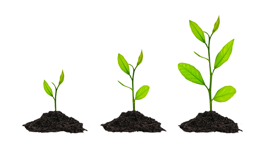 grow