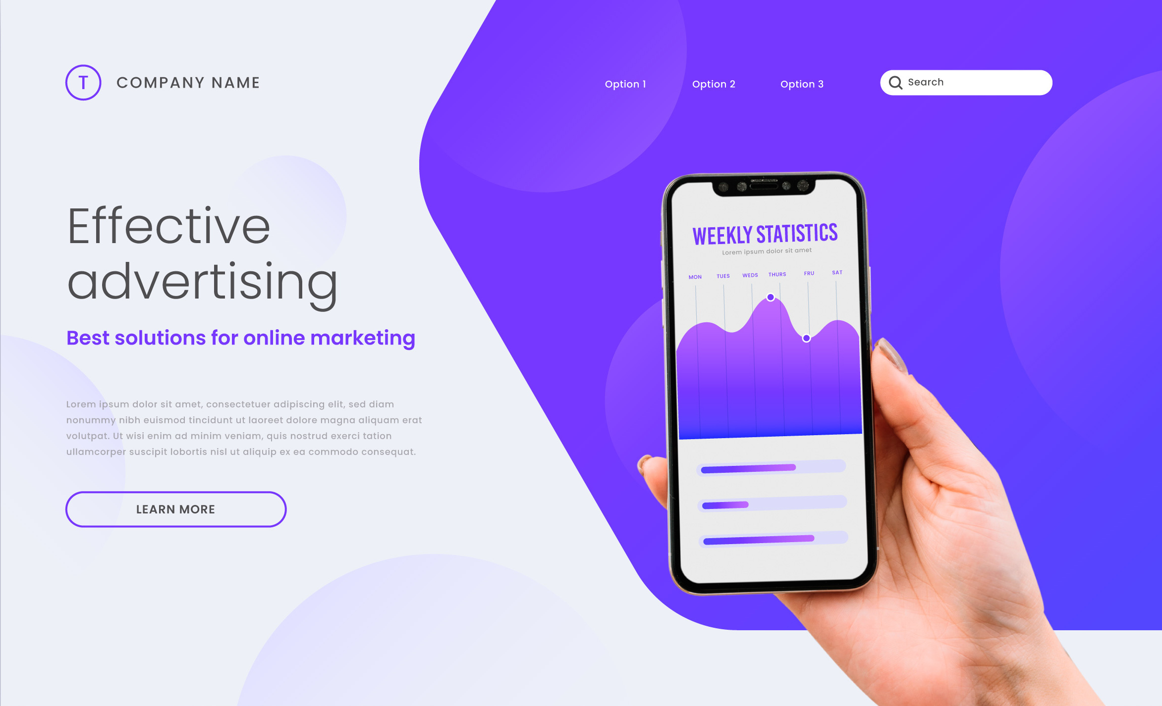 website landing page